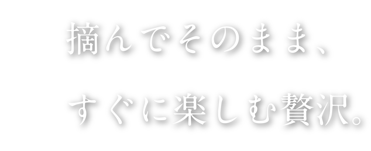 積んでそのまま、すぐに楽しむ贅沢。